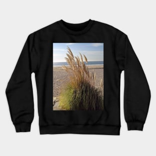 Dana Point Grasses Crewneck Sweatshirt